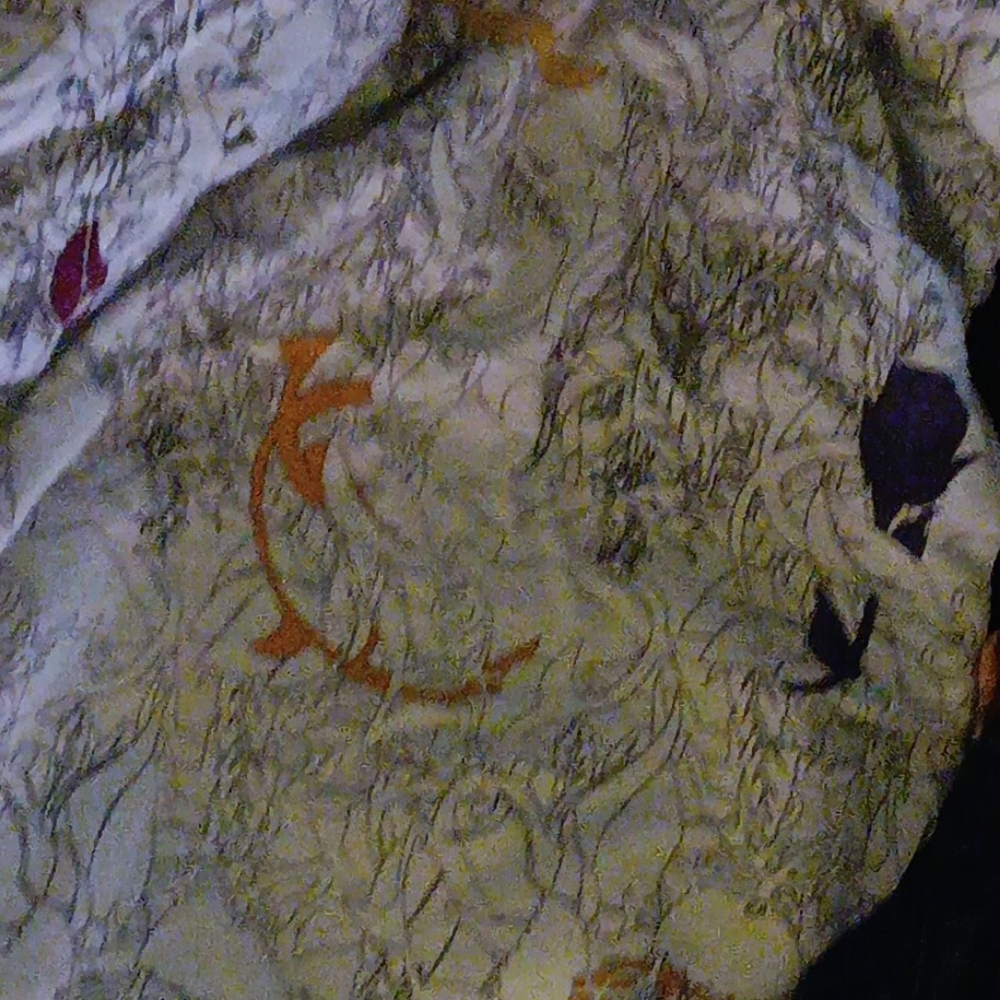 Jacket - Picture 2 of 2